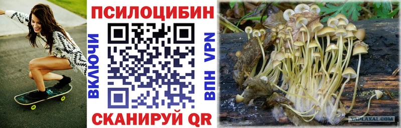 Псилоцибиновые грибы Psilocybine cubensis  Лениногорск 