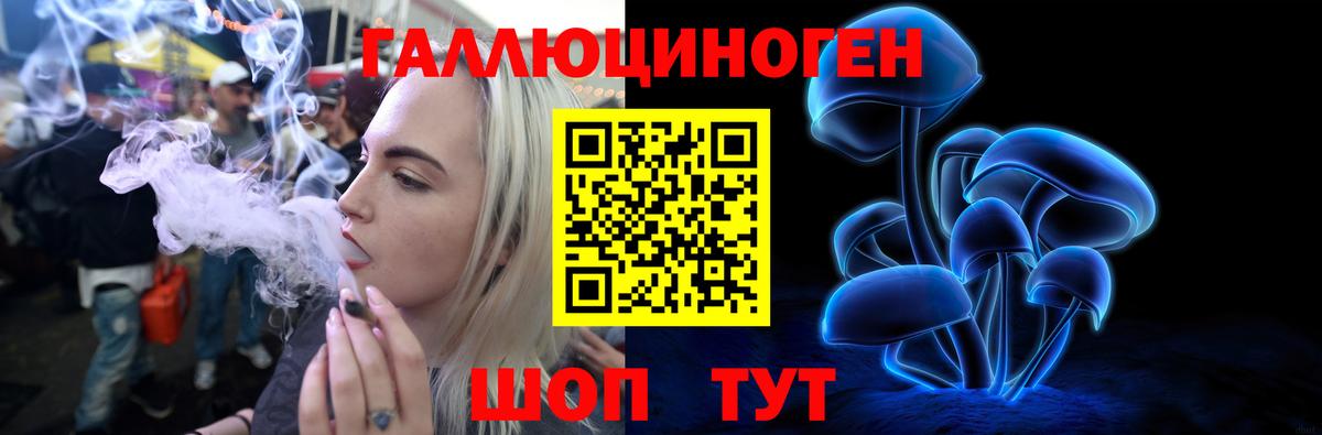 Псилоцибиновые грибы Cubensis  где найти   Лениногорск  Вход с VPN 